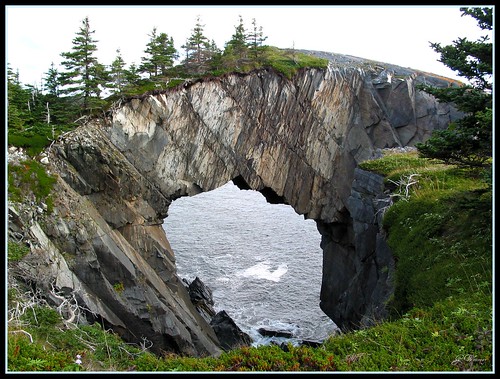 Newfoundland - East Coast Trail