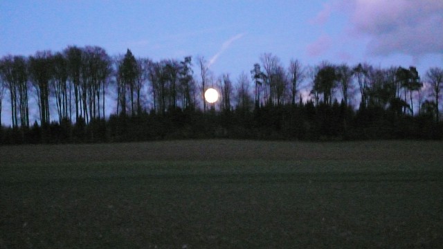 Full moon in Feldbrunnen