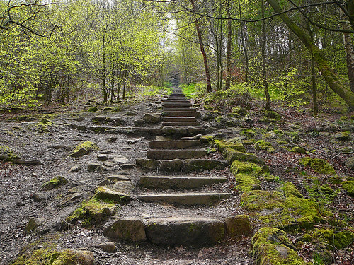Steps on Otley Chevin