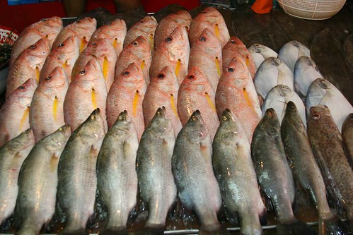 Fresh fish