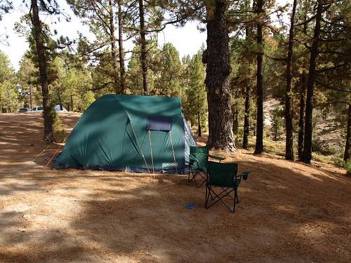 Camping in Tenerife's Pine Forest