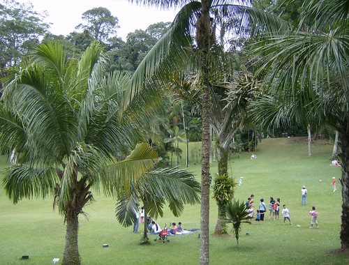 Palm Valley- Singapore Botanic Garden