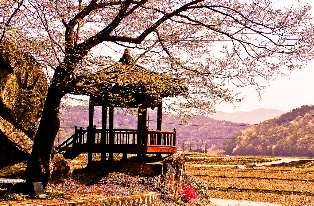 Rural Korea Springtime