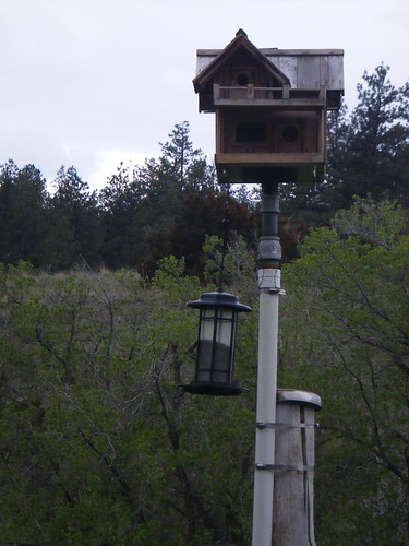 bird feeder poles