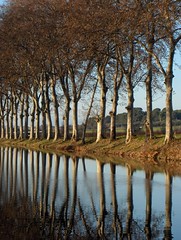 Canal du Midi (Portiragnes)