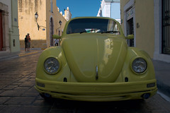 United Colors Of Beetle in Campeche