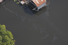 Flood Flyover-Leaking Oil Waste