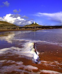 BOTANICAL GARDENS TO MUMBLES - SARNIE PICNIC ON THE BEACH :-)