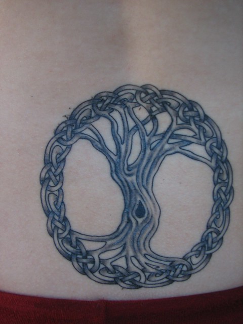 tree of life tattoo detail still healing hence the slight scabbing and