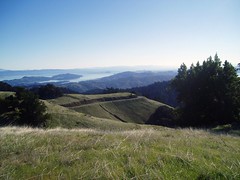 Mt. Tam Hike and Test Drive
