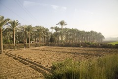 Egypt - On the Road in the Nile Valley