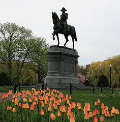 Massachusetts-Boston-The Public Garden