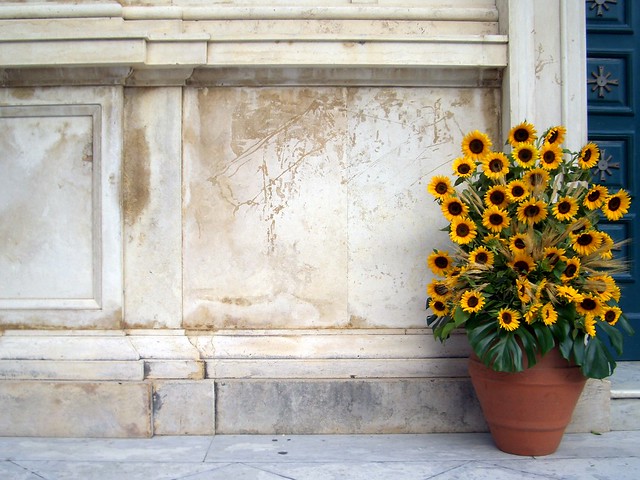 Wedding sunflowers outside Positano church Simple PS shot Explored