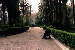 Palermo2004