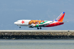 Southwest Airlines Special Livery
