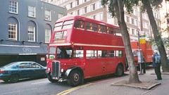 UK Buses