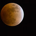Lunar Eclipse, February 20, 2008