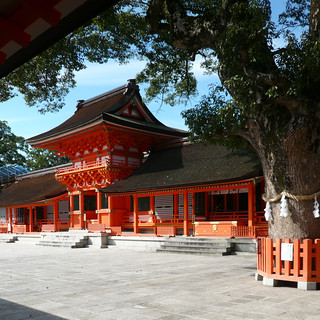 USA main shrine (oblique with tree) - 無料写真検索fotoq