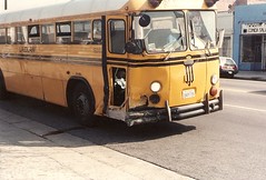 School bus accident in L. A. 