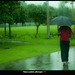 In the Rain of green