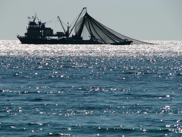 photo of a trawler at sea, nets deployed