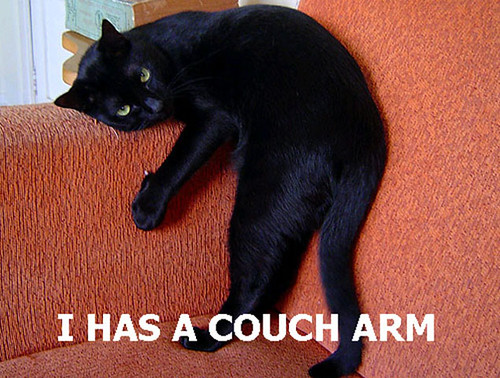 Couch Arm