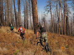 Red Ridge Trail - November 2007