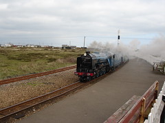 Dungeness - 11th April 2010