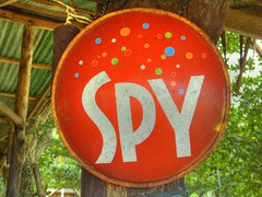 Spy On Your Competitor's Website