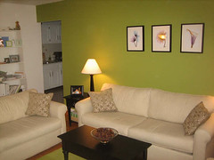 green living room walls