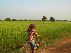 Cambodia - Battambang