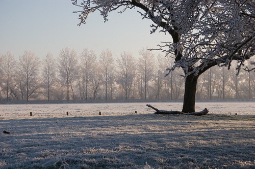 winter wonderland-009.jpg