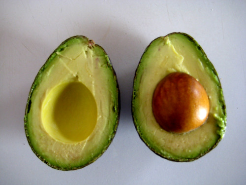 avocado by balotto