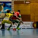 Unihockey Tigers - SV Wiler Ersigen (NLA), 12.02.2017