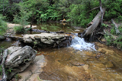 Waterfalls & Creeks of the Blue Mountains