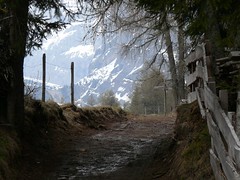 Tirol/Dolomiten/Alpen