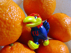 KU's Season of Oranges