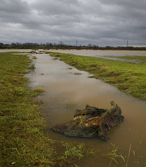 A Local Flooded Field