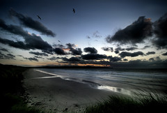 Canvas prints online - Cornwall Gallery
