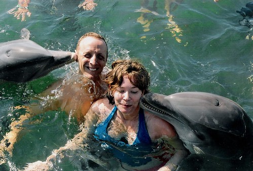 Dolphin Swim Cuba