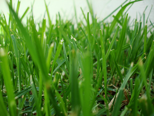 You may think these things are about as exciting as watching grass grow, but you'll want to learn these things if you want to keep growing.