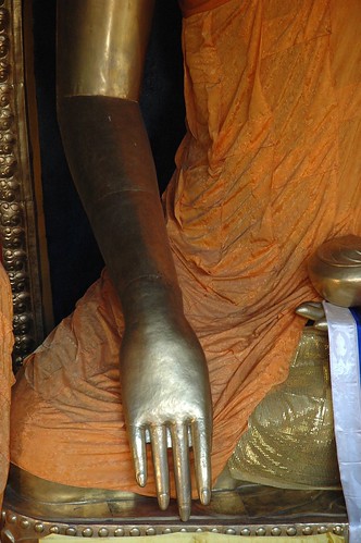 Hand and Arm of the Buddha, Mudra Calling the Earth to Witness, Tharlam Monastery, Boudha, Kathmandu, Nepal by Wonderlane