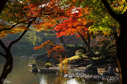 autumn Japanese garden