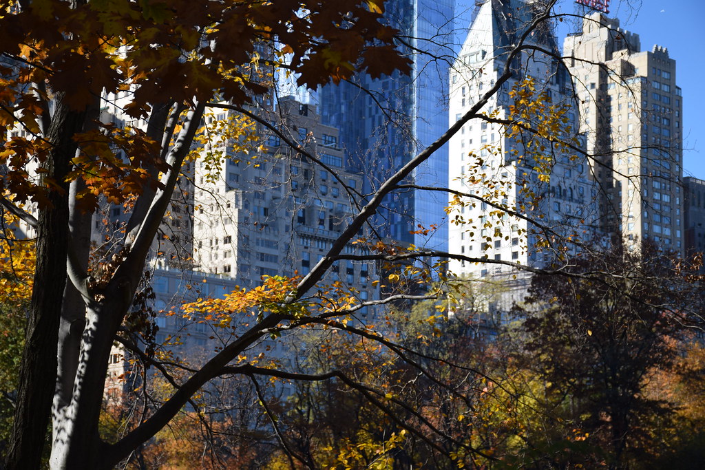 Vista de la Quinta Avenida desde Central Park.