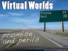 Virtual Worlds: Promise and Perils