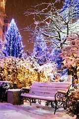 Winter in Cluj