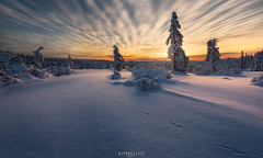 Norway - Winter