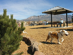North Domingo Baca Dog Park, Albuquerque, NM