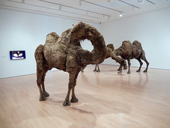 Camels by Nancy Graves