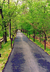 North Bend State Park, West Virginia, spring 1997